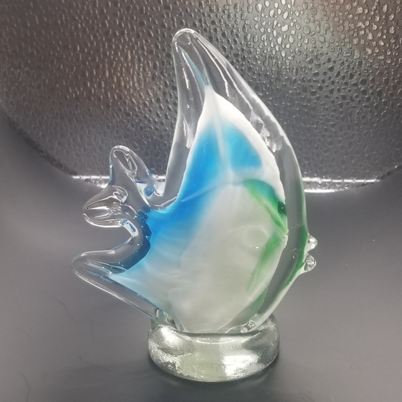 Glass fish - Picture 16 of 16